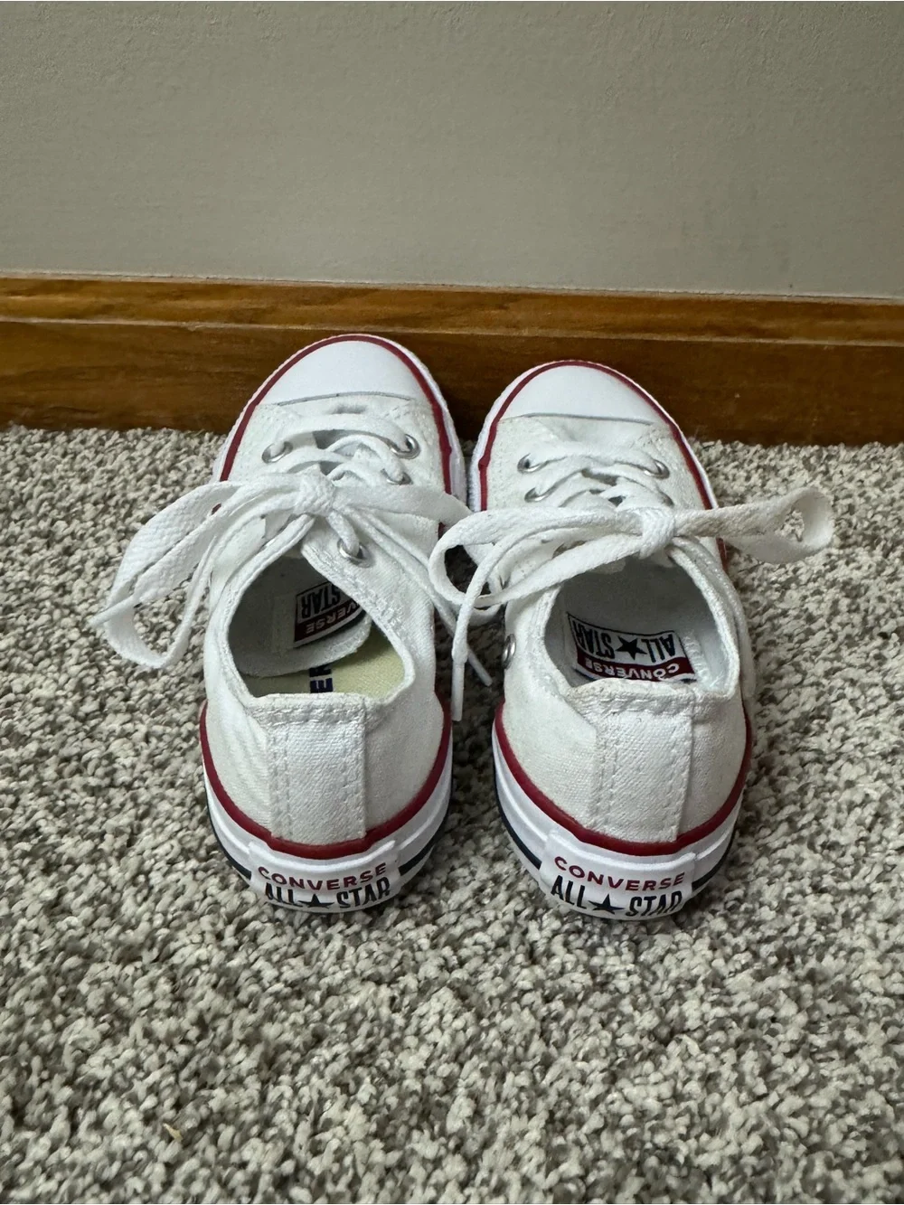 Converse lightweight canvas